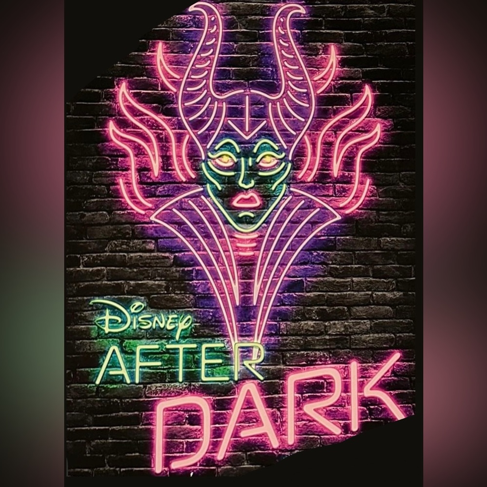 Disney After Dark Show Flyer!